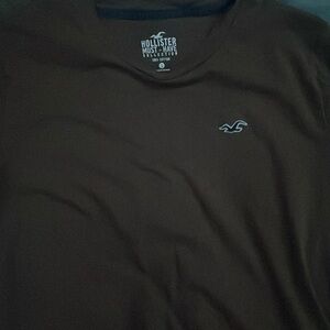 Brown holister t-shirt sized small